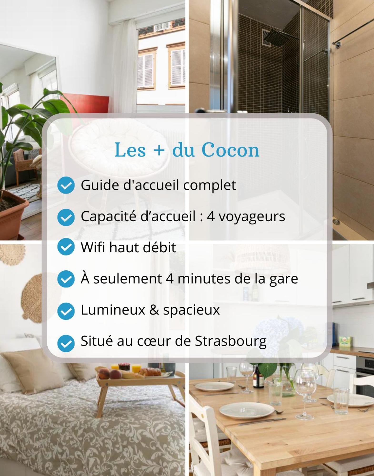 Le Cocon - Proche Gare - Lumineux & Centre Ville - Commerces A Proximite Strasbourg Kültér fotó